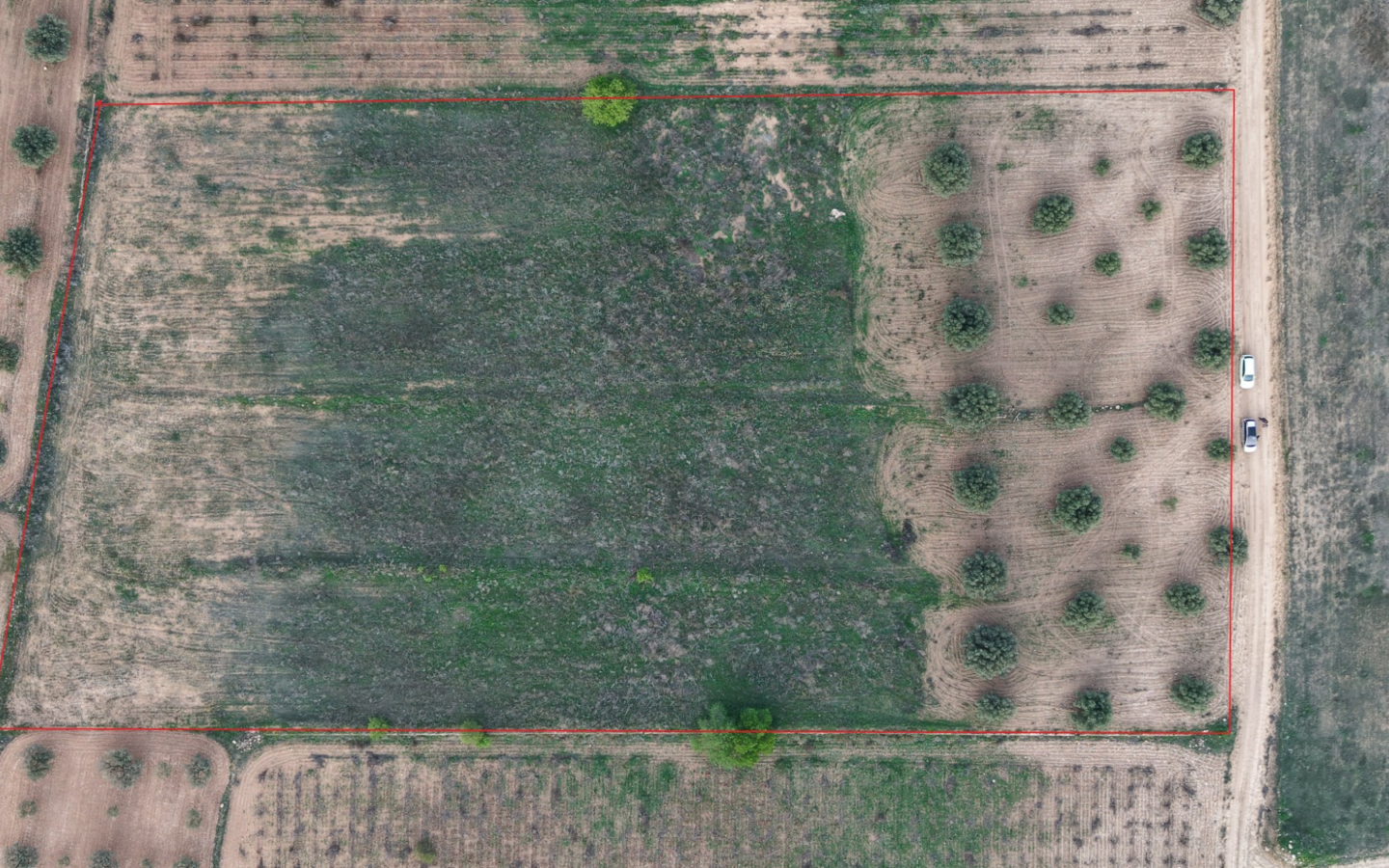 Land In Jumilla, Spain (13.701 M² Plot)