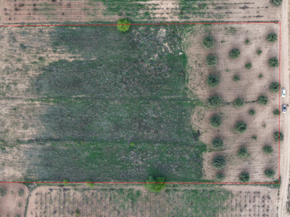 Land In Jumilla, Spain (13.701 M² Plot)