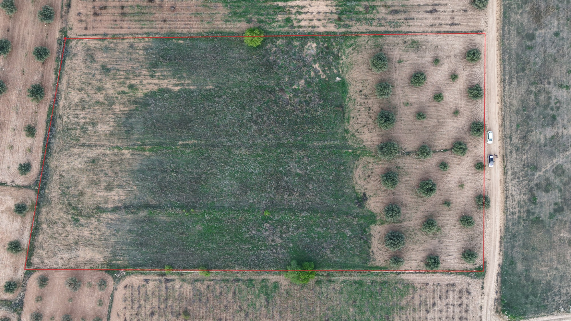 Land In Jumilla, Spain (13.701 M² Plot)