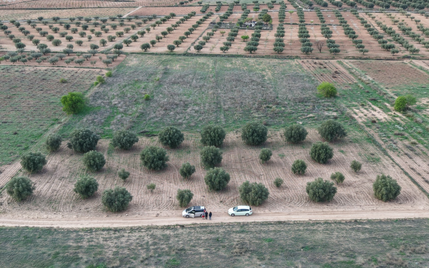 Land In Jumilla, Spain (13.701 M² Plot)