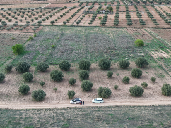 Land In Jumilla, Spain (13.701 M² Plot)