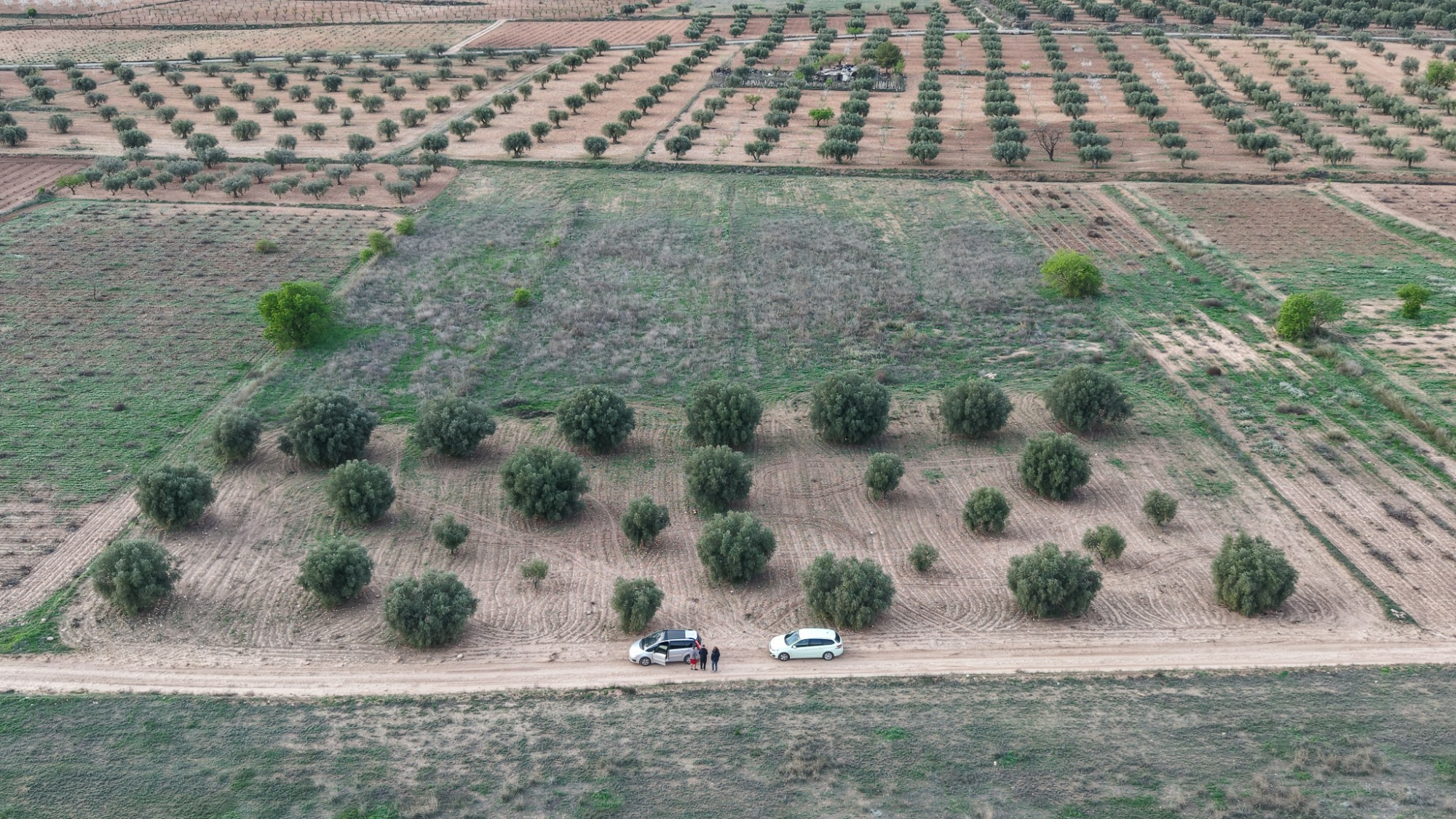 Land In Jumilla, Spain (13.701 M² Plot)