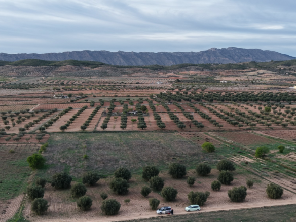 Land In Jumilla, Spain (13.701 M² Plot)