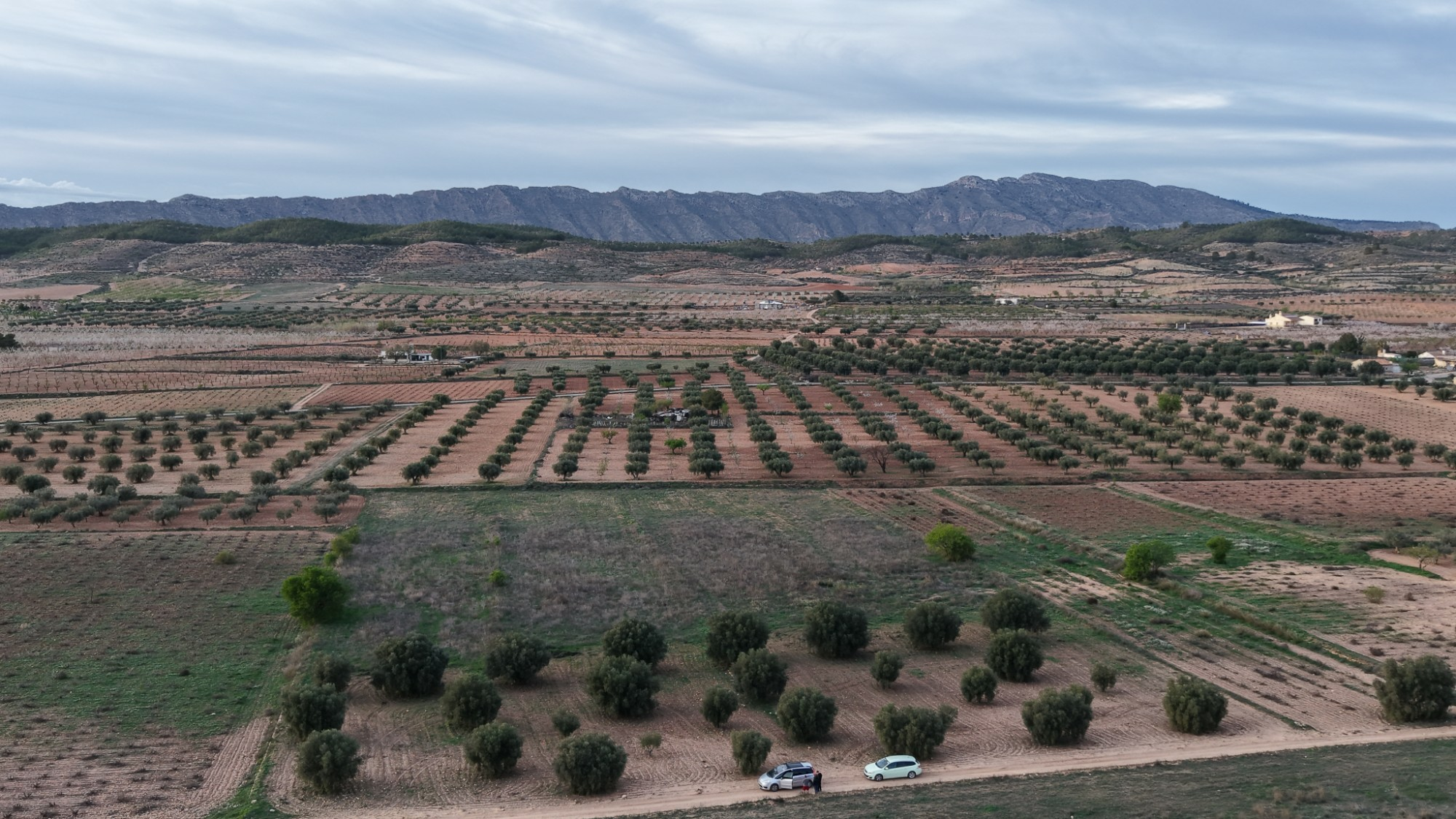 Land In Jumilla, Spain (13.701 M² Plot)