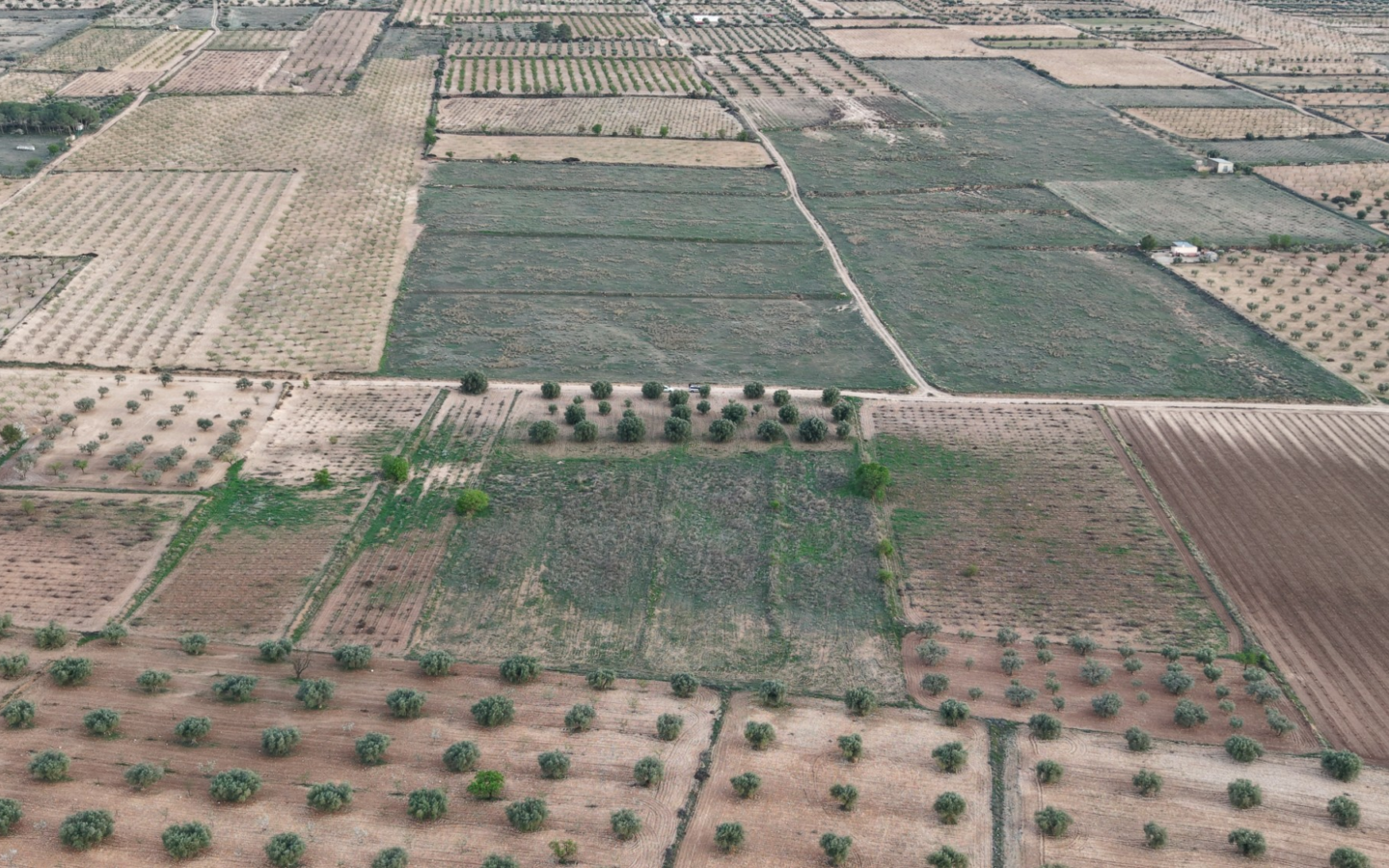 Land In Jumilla, Spain (13.701 M² Plot)