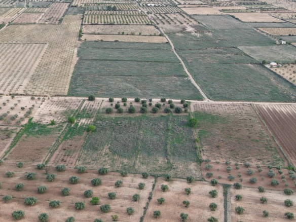 Land In Jumilla, Spain (13.701 M² Plot)