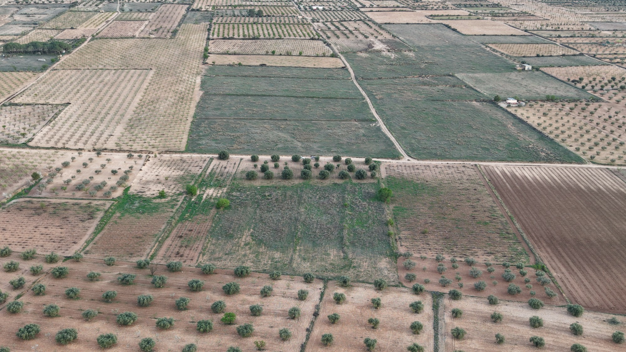 Land In Jumilla, Spain (13.701 M² Plot)