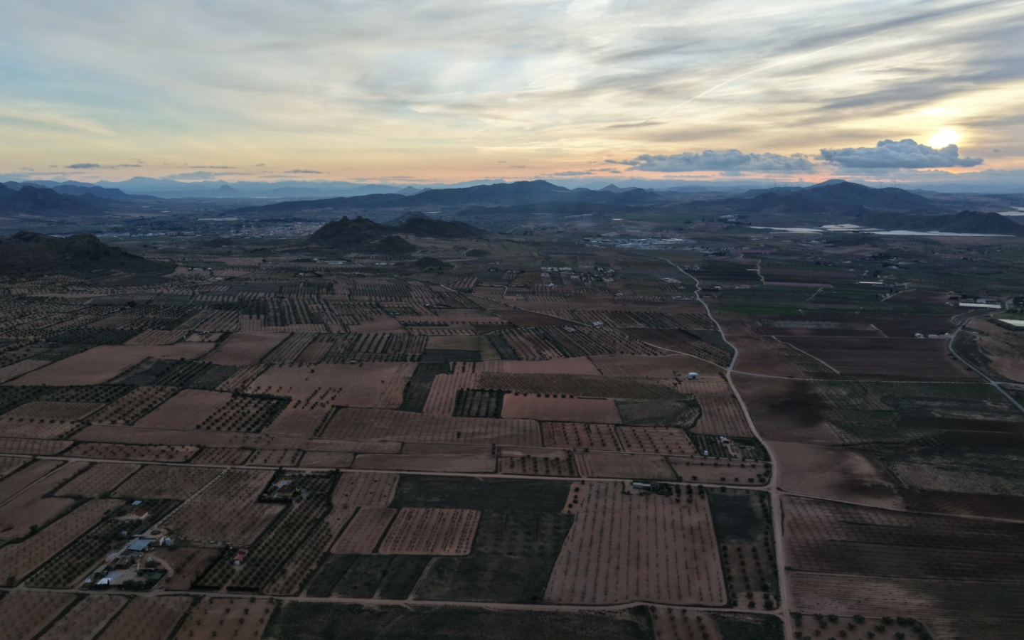Land In Jumilla, Spain (7.733 M² Plot)