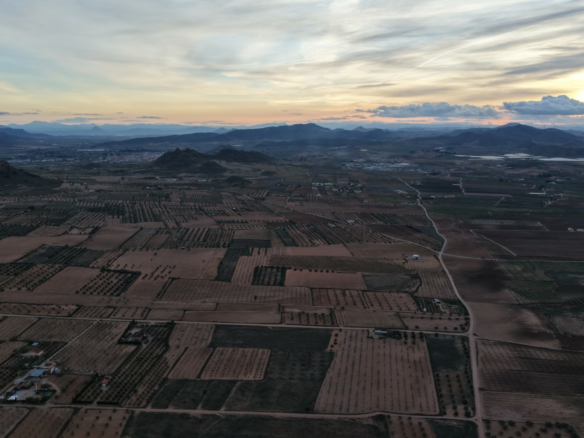 Land In Jumilla, Spain (7.733 M² Plot)