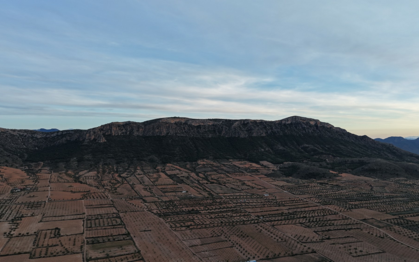 Land In Jumilla, Spain (7.733 M² Plot)