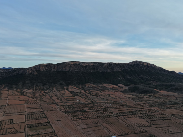 Land In Jumilla, Spain (7.733 M² Plot)
