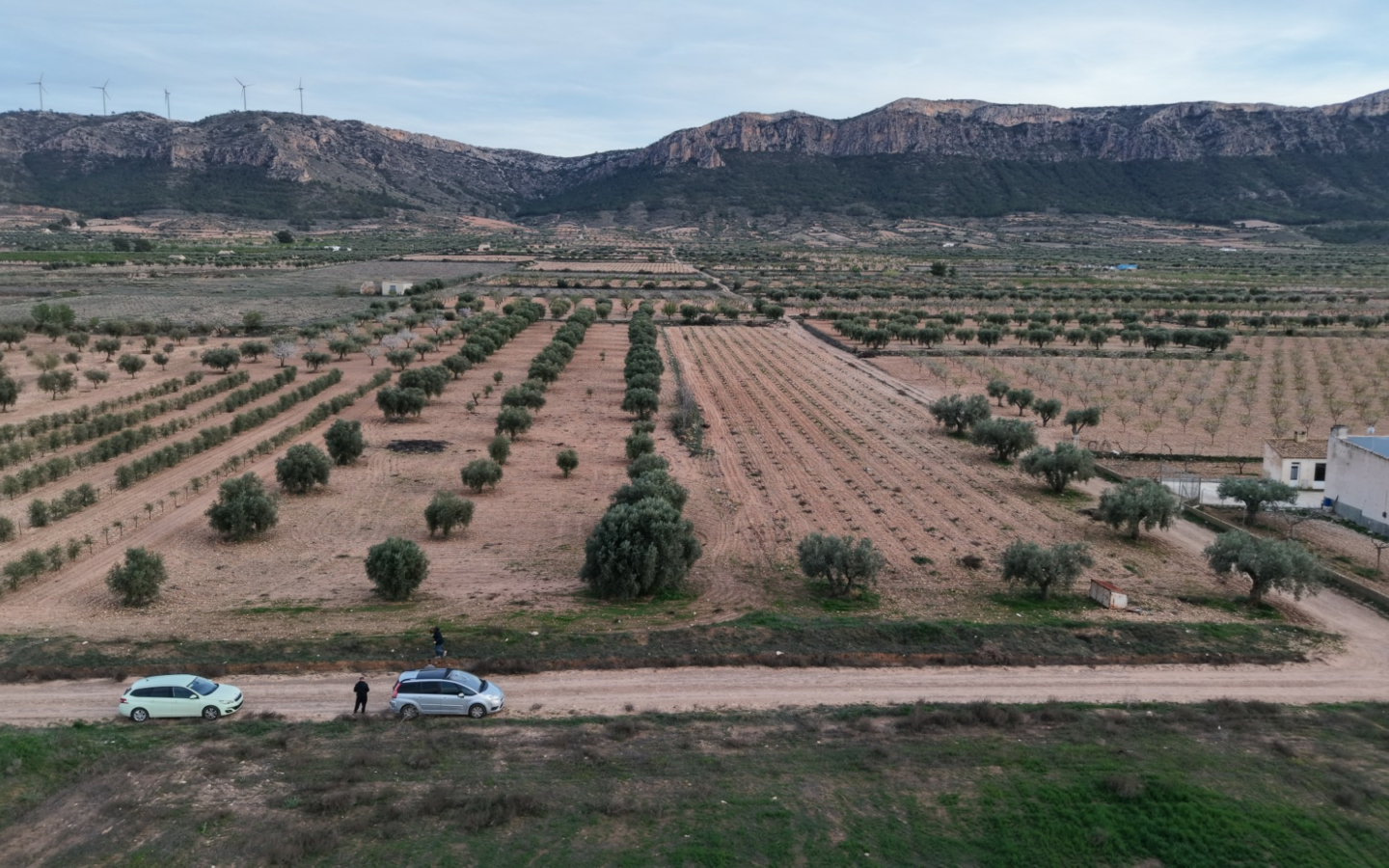 Land In Jumilla, Spain (7.733 M² Plot)