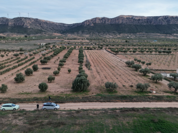 Land In Jumilla, Spain (7.733 M² Plot)
