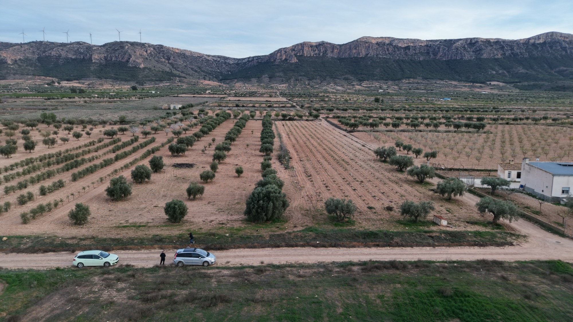 Land In Jumilla, Spain (7.733 M² Plot)