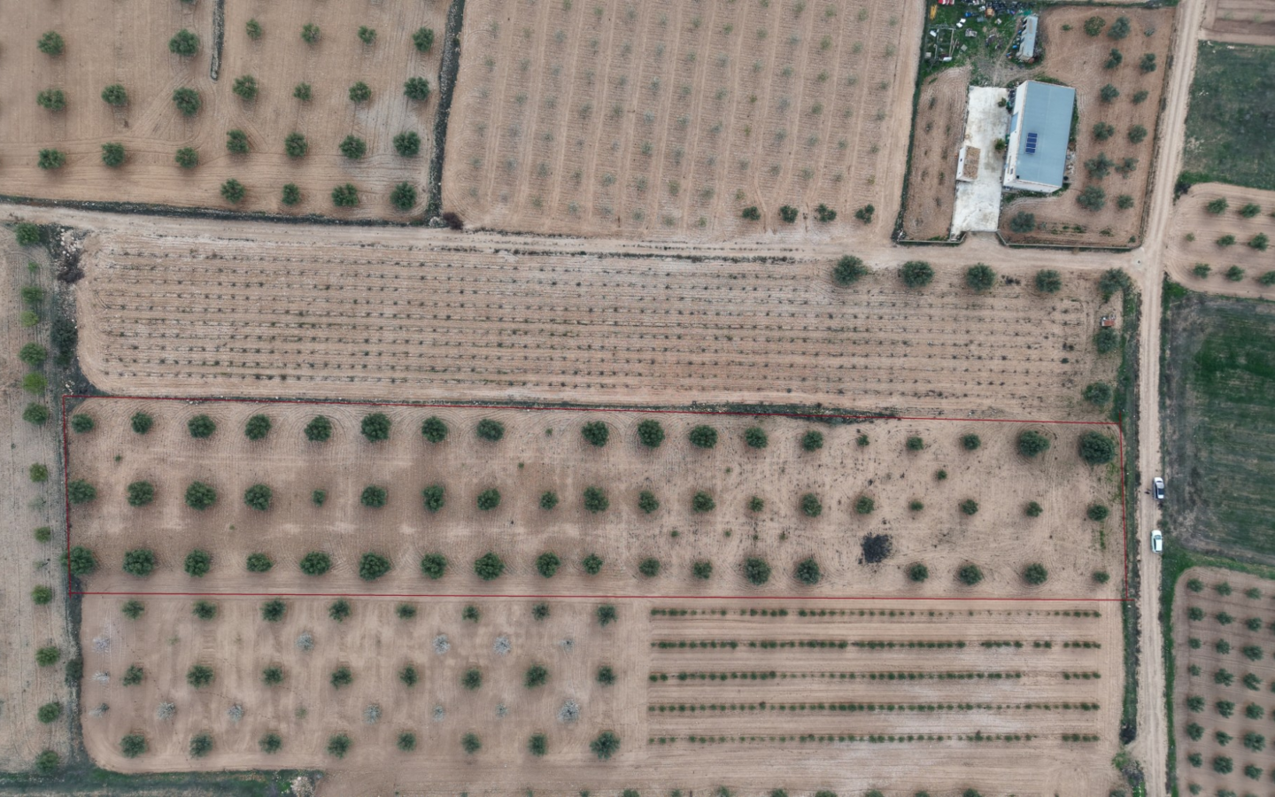 Land In Jumilla, Spain (7.733 M² Plot)