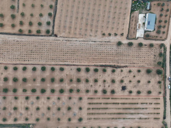 Land In Jumilla, Spain (7.733 M² Plot)