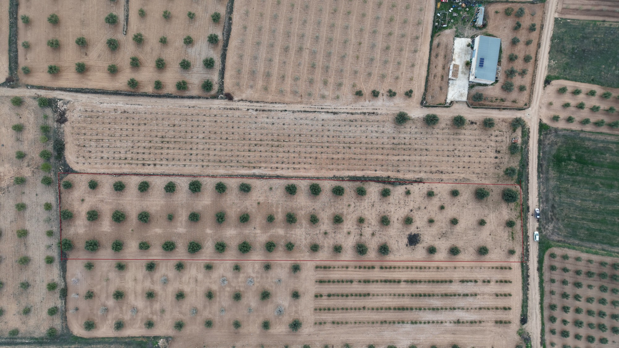 Land In Jumilla, Spain (7.733 M² Plot)