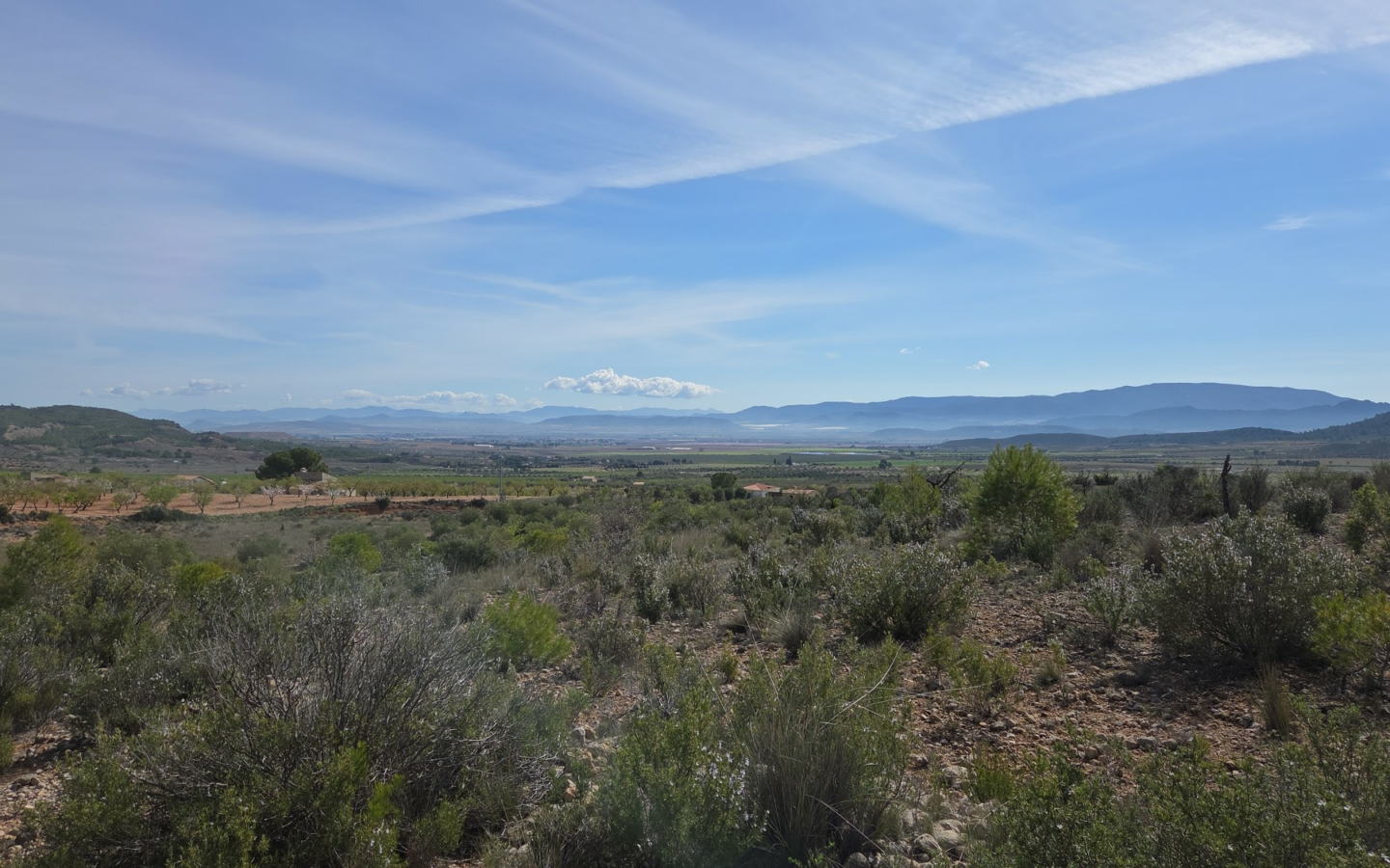 Land In Yecla, Spain (27.385 M² Plot)