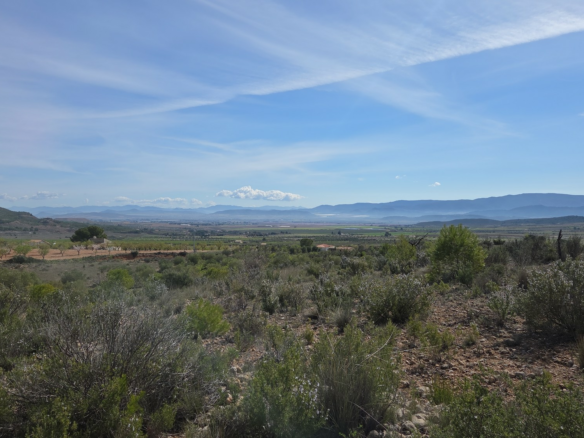 Land In Yecla, Spain (27.385 M² Plot)