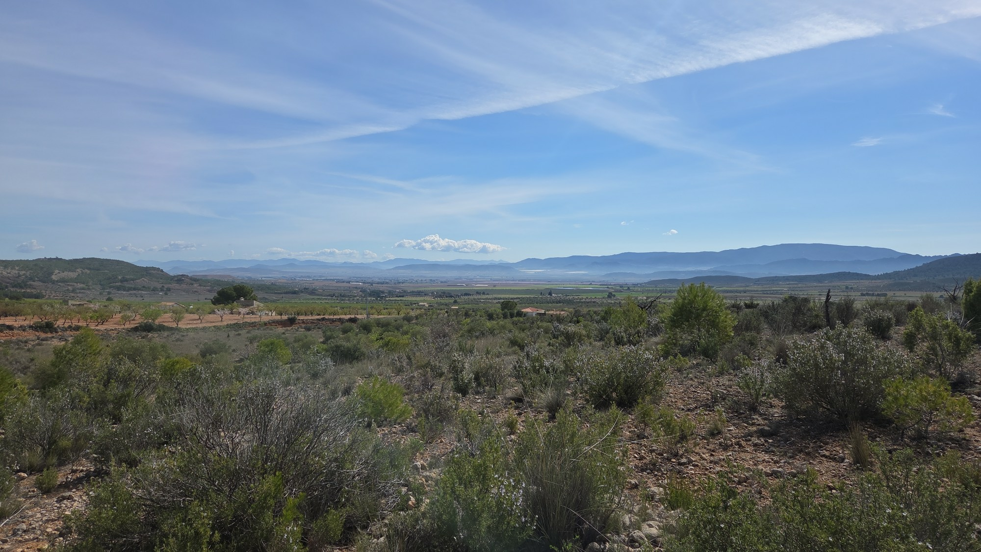 Land In Yecla, Spain (27.385 M² Plot)