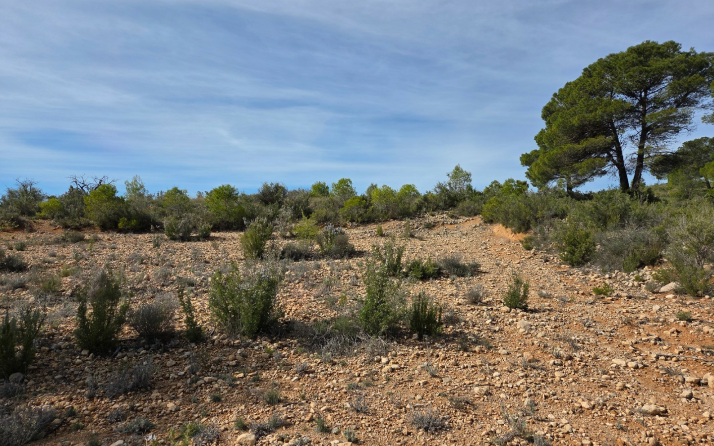 Land In Yecla, Spain (27.385 M² Plot)