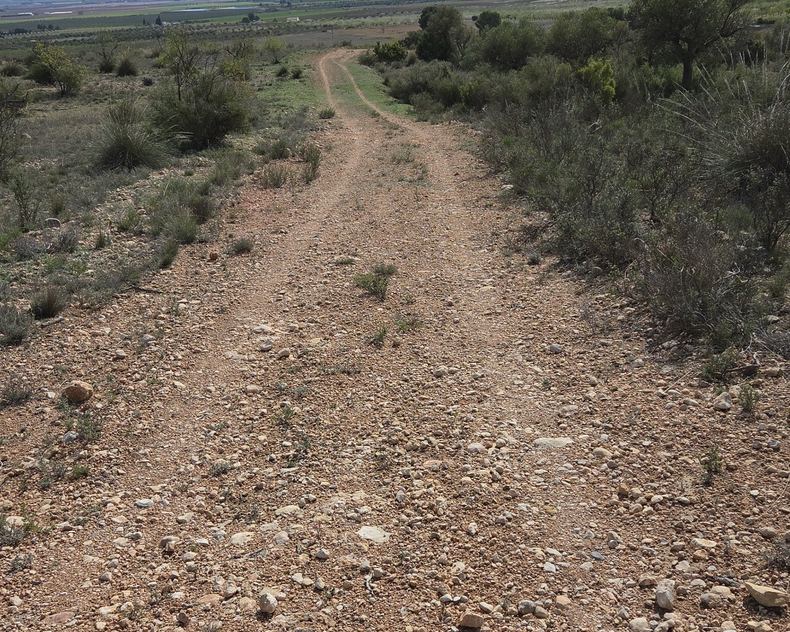 Land In Yecla, Spain (27.385 M² Plot)