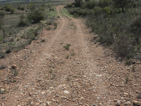 Land In Yecla, Spain (27.385 M² Plot)