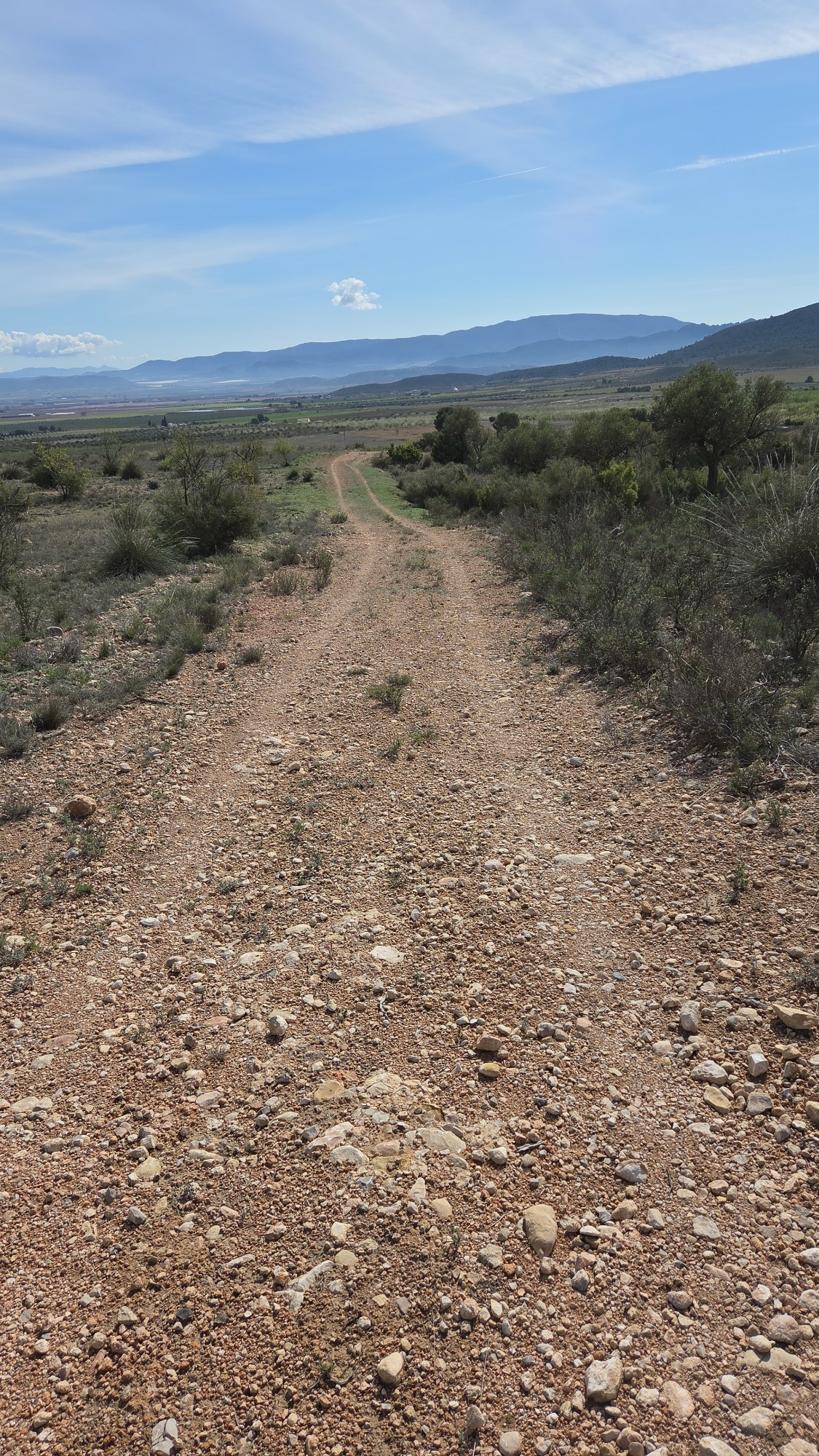 Land In Yecla, Spain (27.385 M² Plot)