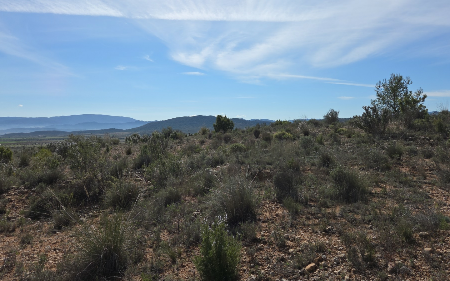 Land In Yecla, Spain (27.385 M² Plot)
