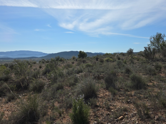 Land In Yecla, Spain (27.385 M² Plot)