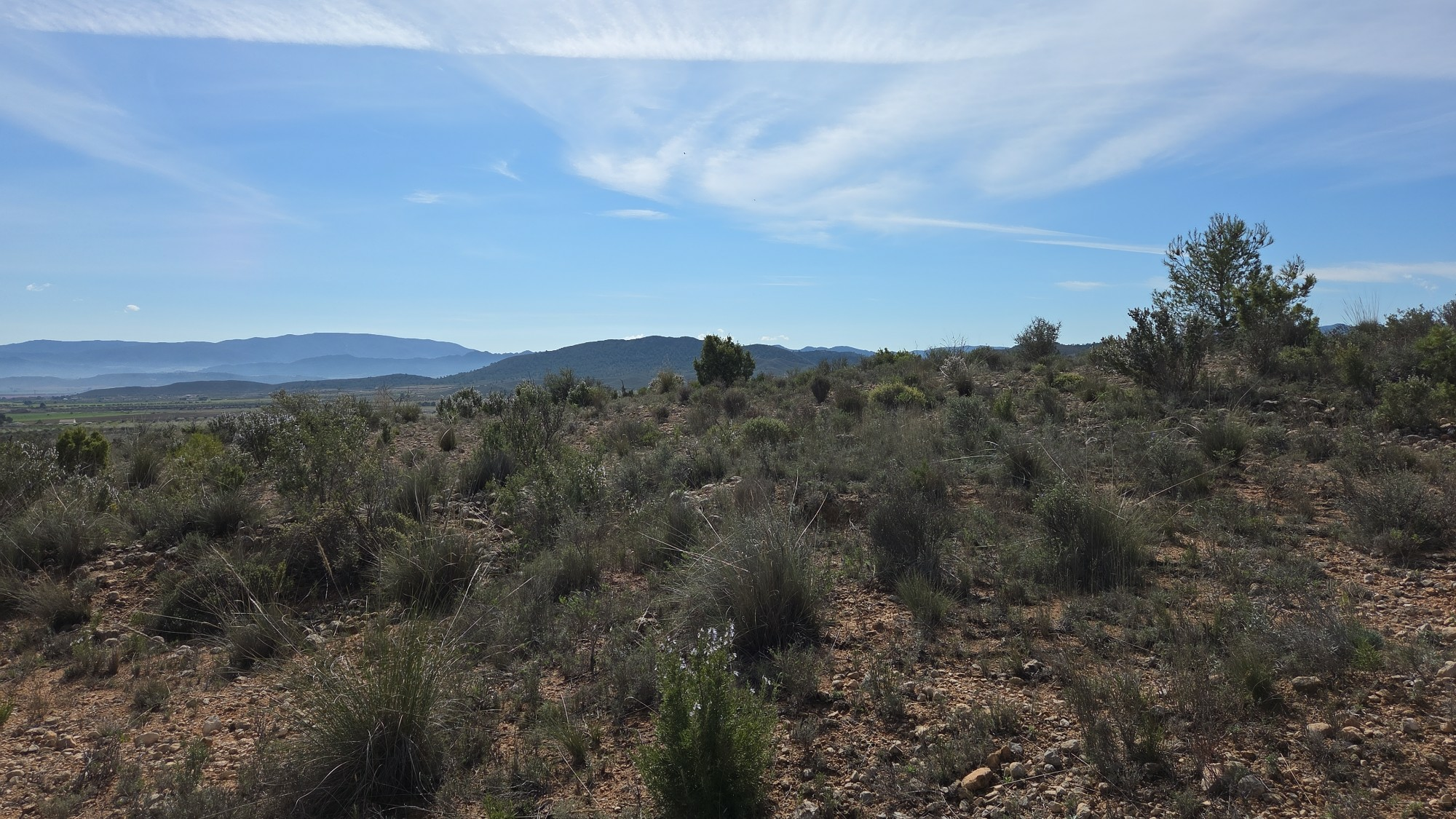 Land In Yecla, Spain (27.385 M² Plot)
