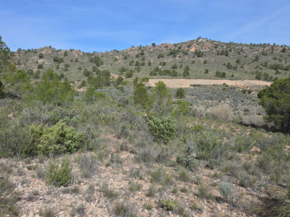 Land In Yecla, Spain (27.385 M² Plot)