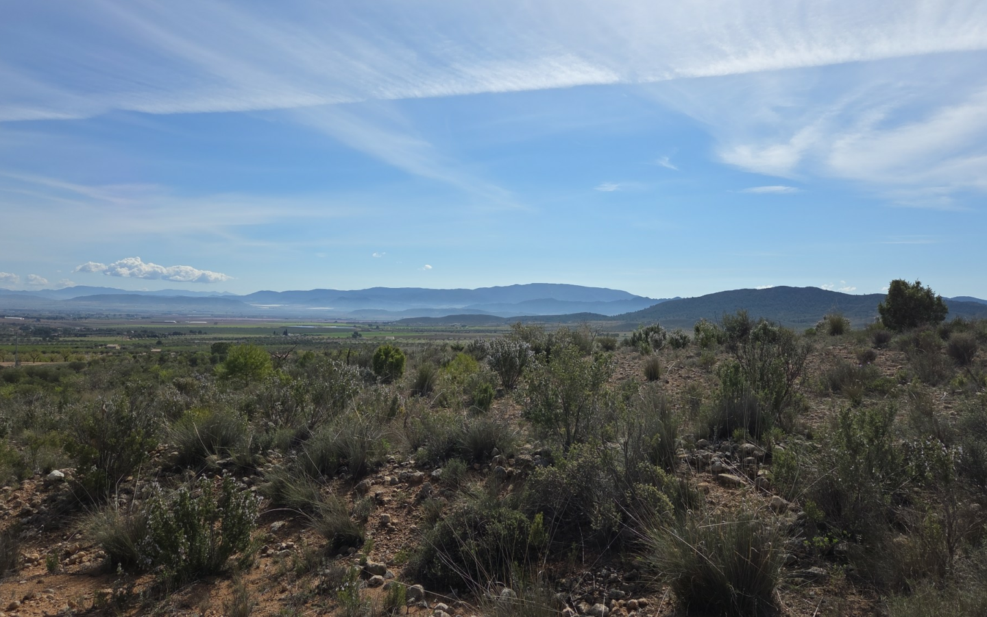 Land In Yecla, Spain (27.385 M² Plot)