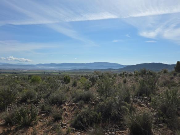 Land In Yecla, Spain (27.385 M² Plot)
