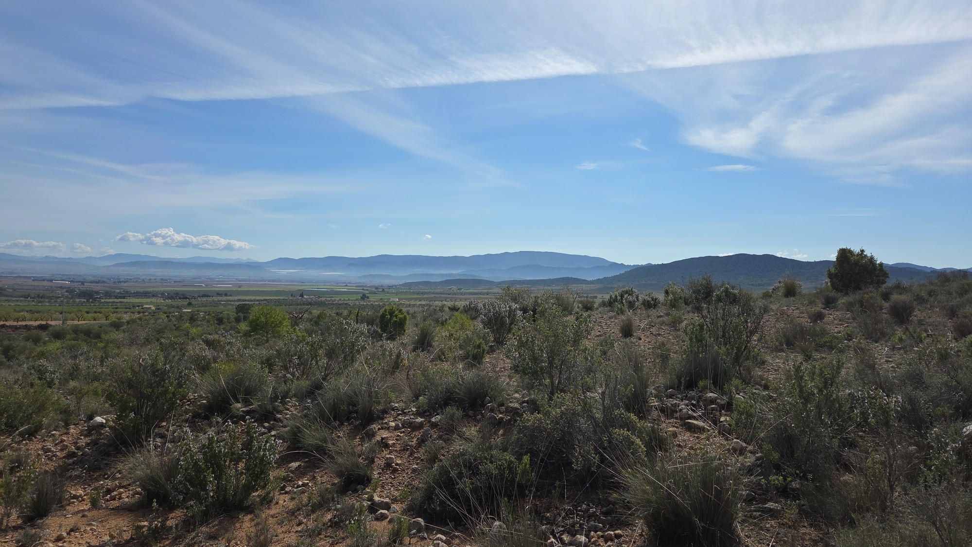 Land In Yecla, Spain (27.385 M² Plot)