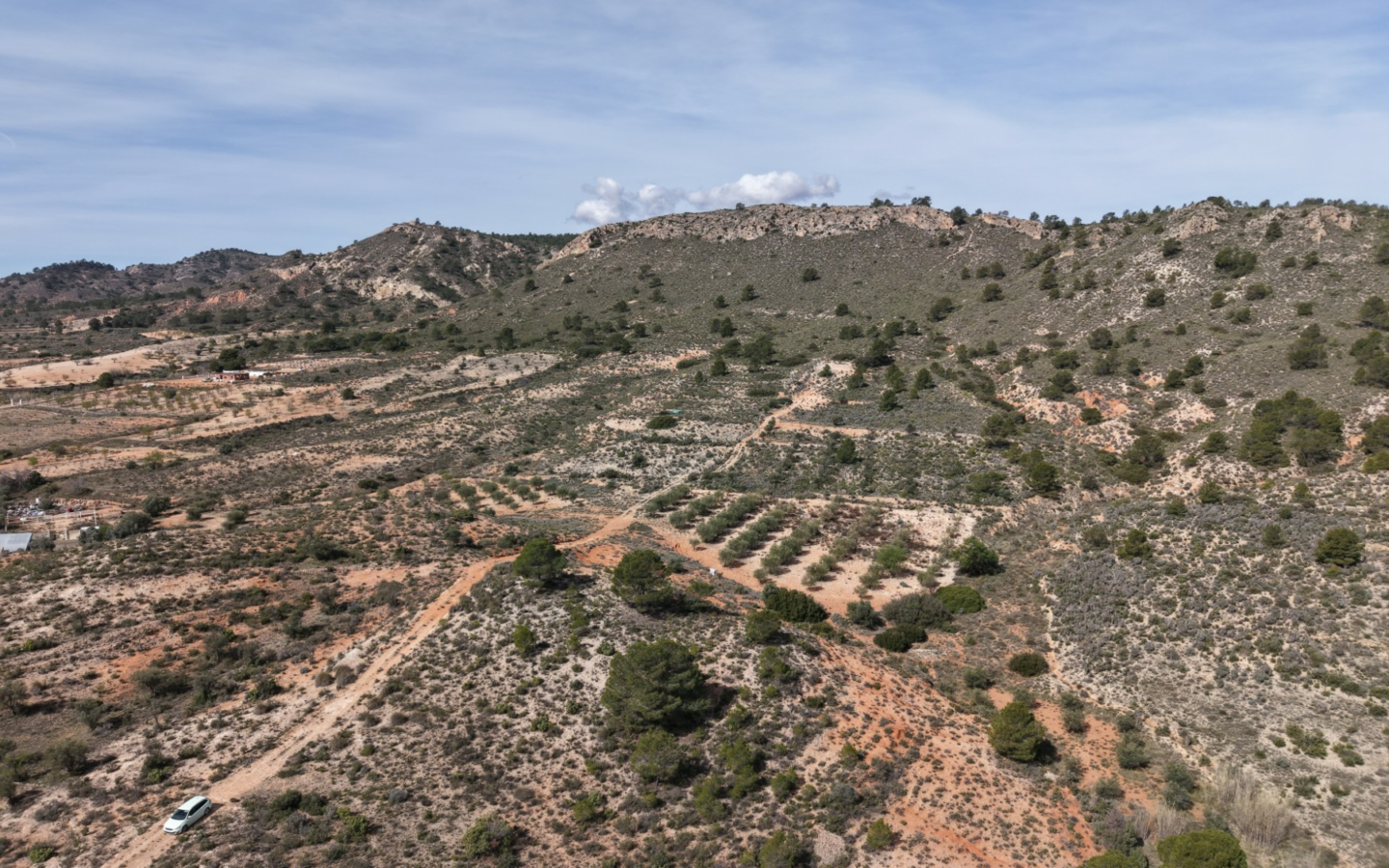 Land In Yecla, Spain (27.385 M² Plot)
