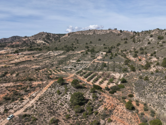 Land In Yecla, Spain (27.385 M² Plot)