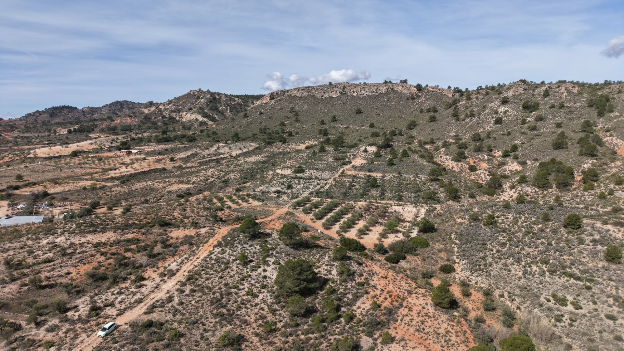 Land In Yecla, Spain (27.385 M² Plot)