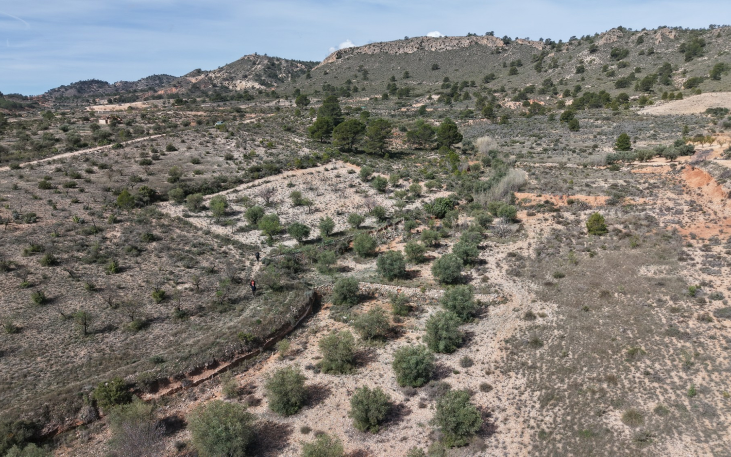 Land In Yecla, Spain (27.385 M² Plot)