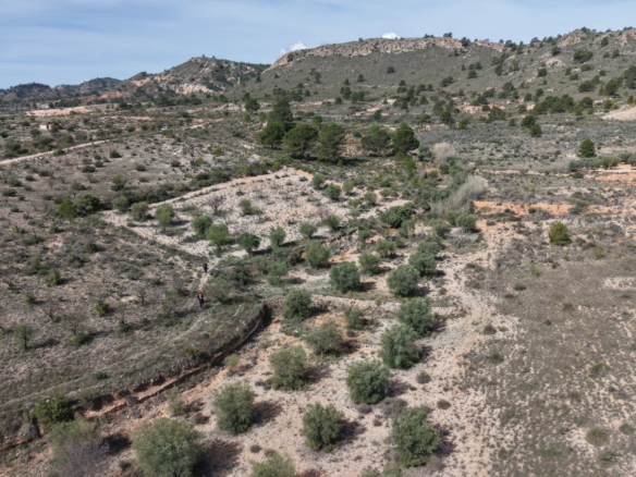 Land In Yecla, Spain (27.385 M² Plot)