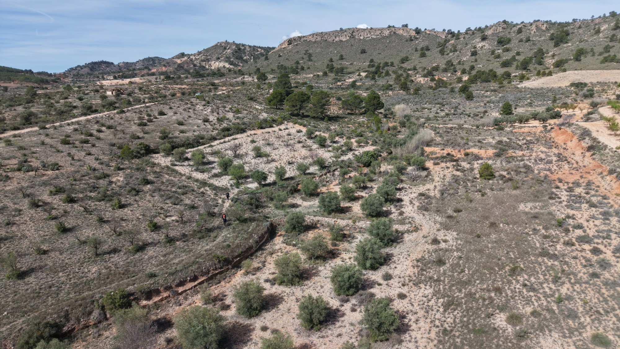 Land In Yecla, Spain (27.385 M² Plot)