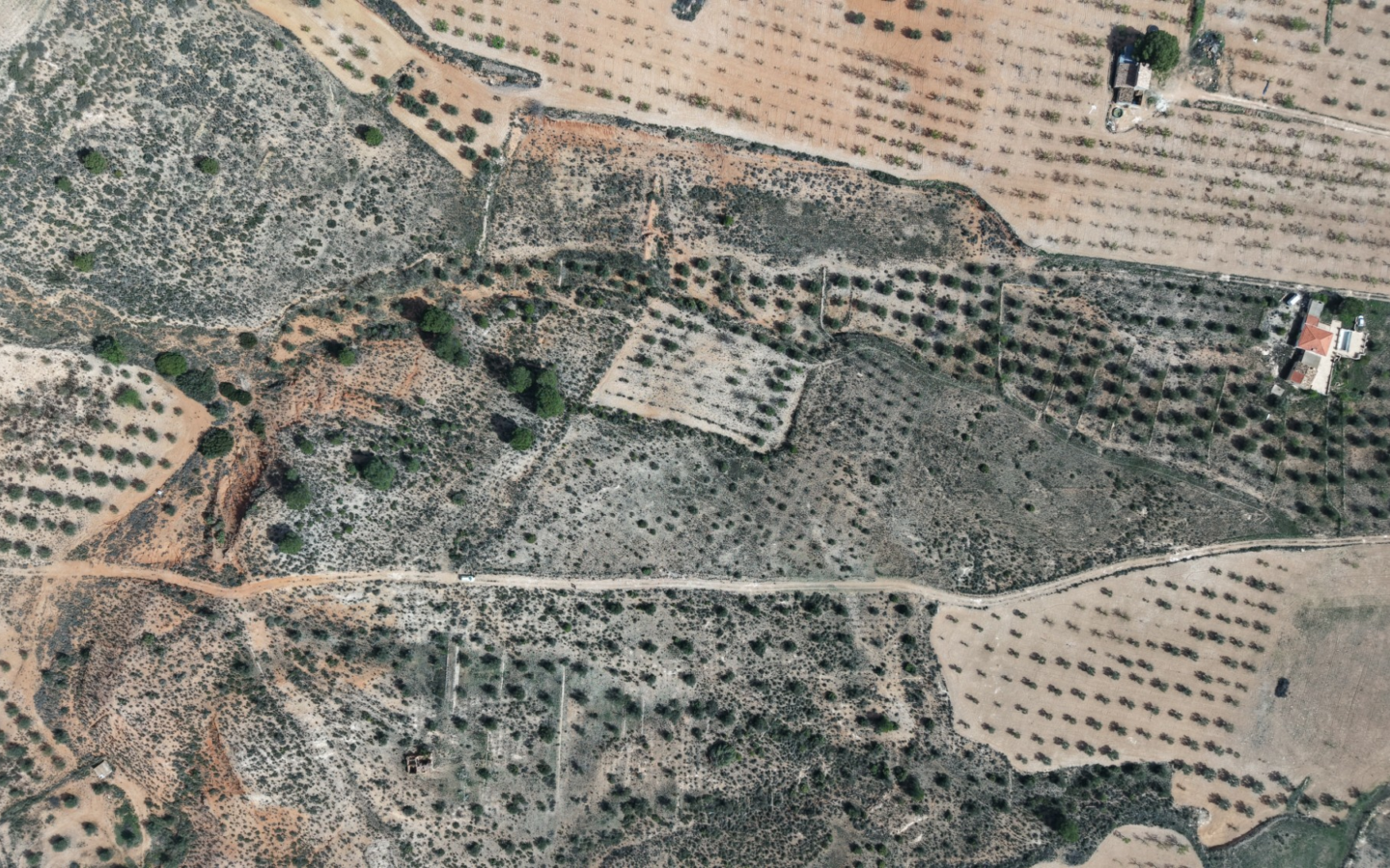 Land In Yecla, Spain (27.385 M² Plot)