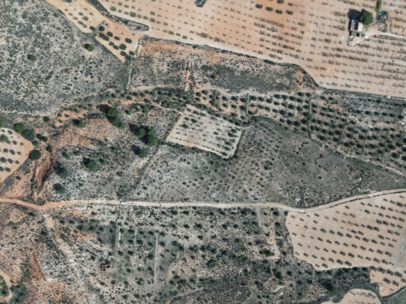 Land In Yecla, Spain (27.385 M² Plot)