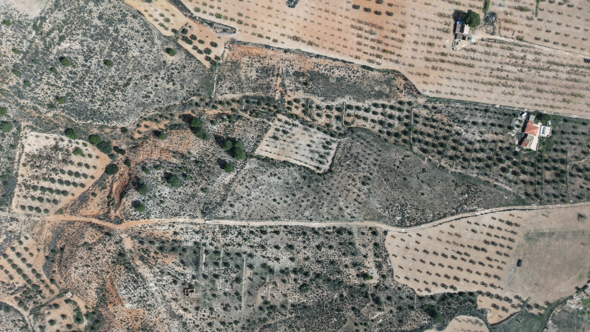 Land In Yecla, Spain (27.385 M² Plot)