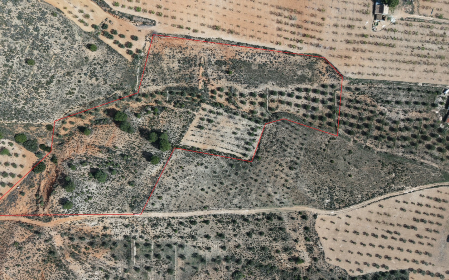 Land In Yecla, Spain (27.385 M² Plot)