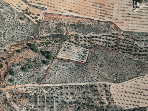 Land In Yecla, Spain (27.385 M² Plot)