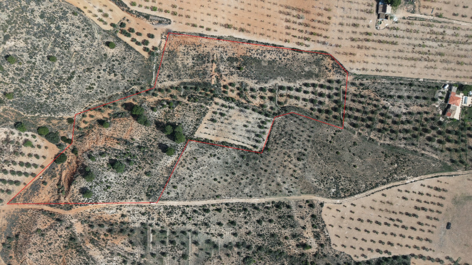Land In Yecla, Spain (27.385 M² Plot)