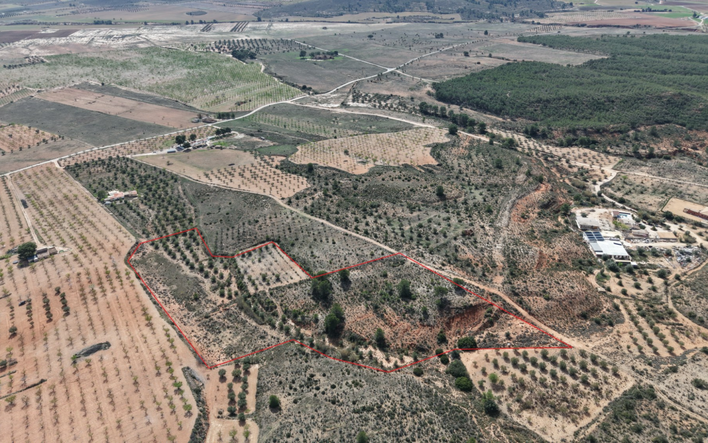Land In Yecla, Spain (27.385 M² Plot)