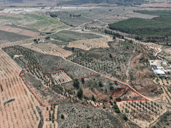 Land In Yecla, Spain (27.385 M² Plot)