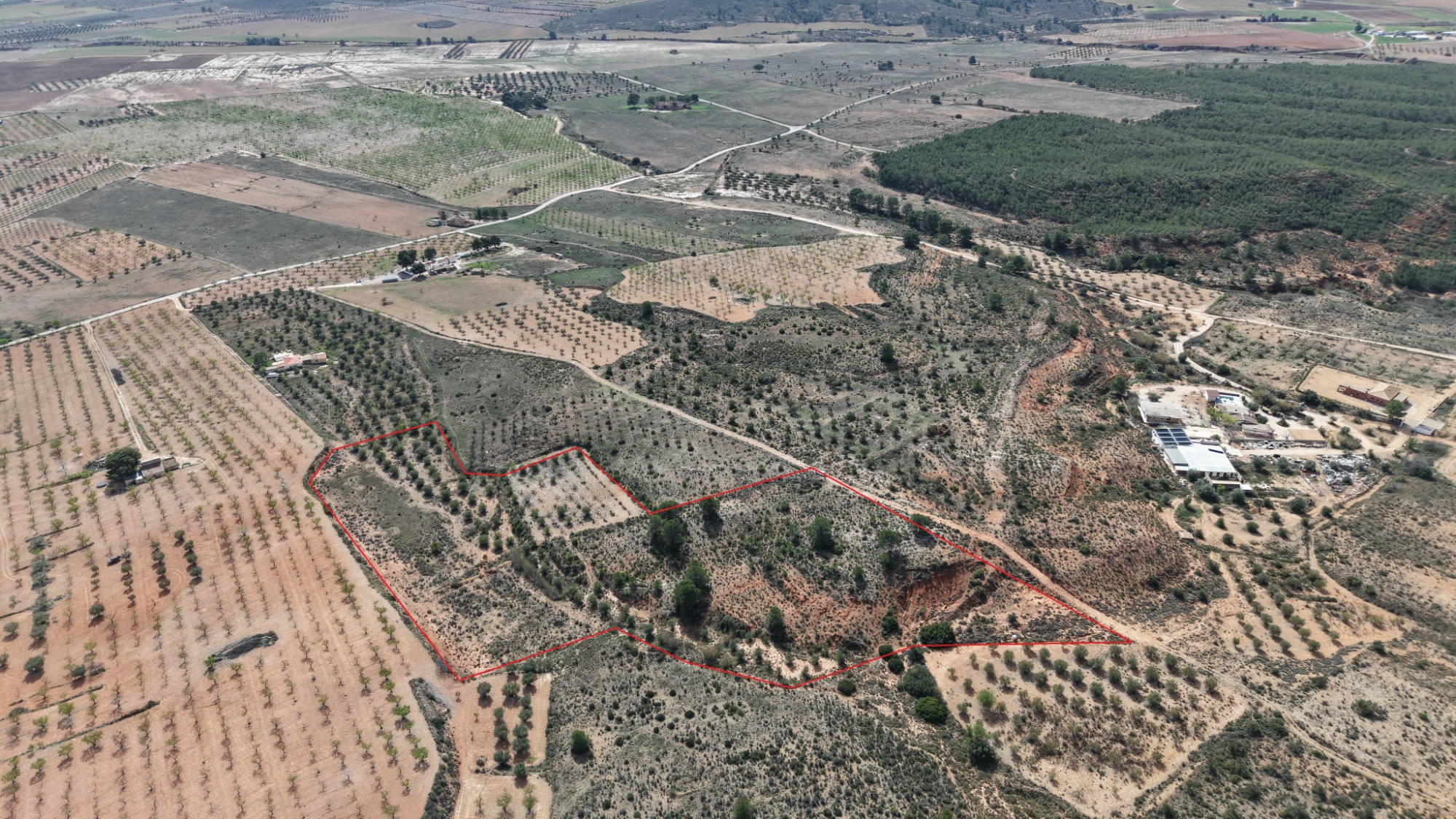 Land In Yecla, Spain (27.385 M² Plot)